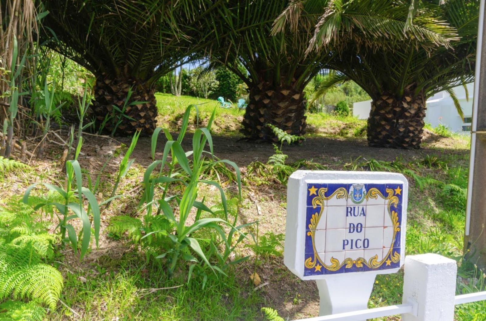 Candelaria House エクステリア 写真